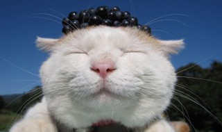 经典短笑话 幽默经典短笑话