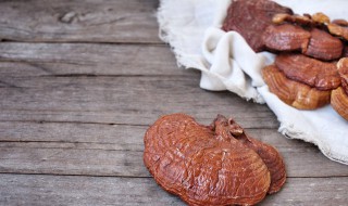 灵芝的生长年份有多少年了（灵芝一般几年长出来）