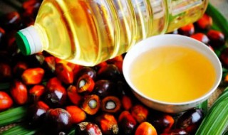 棕榈油的危害（婴儿奶粉棕榈油的危害）