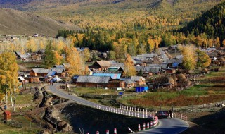 农村怎样致富（农村怎样致富快）