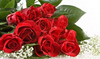 送礼物送什么好 给男人送礼物送什么好