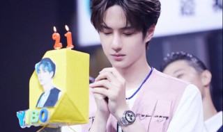 王一博生日（王一博生日是几月几日农历）