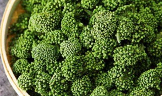 三七花泡水喝有什么功效和作用 三七花泡水喝有什么功效和作用有子宫肌瘤可以喝吗