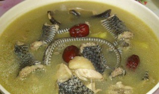 鳄鱼肉煲汤