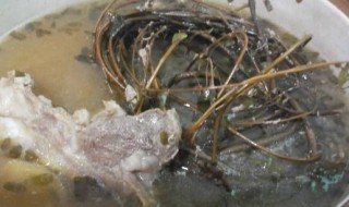 鸡骨草煲猪骨（鸡骨草煲猪骨汤）