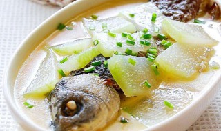 鲫鱼冬瓜汤（鲫鱼冬瓜汤的功效与禁忌）
