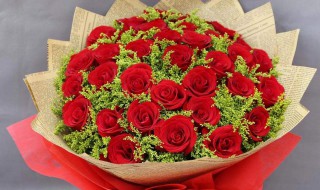 送女友什么生日礼物（送女朋友什么生日礼物）