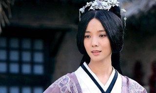卫子夫电视剧结局 卫子夫电视剧结局如何