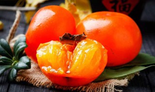 怀孕能吃柿子吗（怀孕能吃柿子吗中期能吃吗）