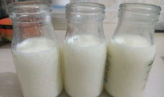 酸奶的做法自制（酸奶的做法自制 乳酸菌）