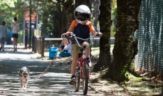男孩高雅霸气名字（男孩高雅霸气名字四个字）