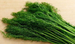 孕妇能吃茴香吗 孕妇能吃茴香吗中期