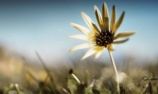 经典个人签名 经典个人签名说说