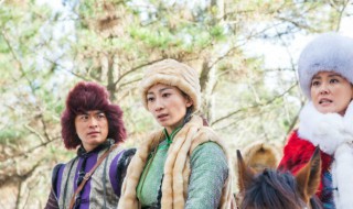 雪地娘子军演员表（雪地娘子军演员表金大满是谁）