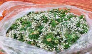 韭花酱的家常吃法 韭花酱的家常吃法窍门