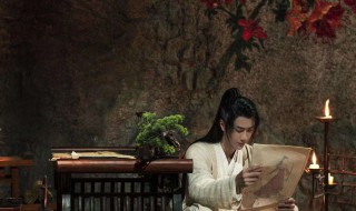 有翡电视剧导演是谁（有翡 电视剧演员）
