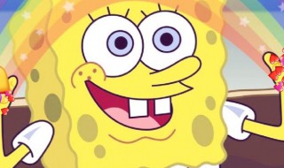 海绵是如何进食的（海绵怎么吃）