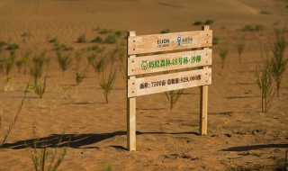 能量双击卡怎么获得（能量双击卡怎么获得? 连续收取）