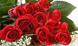 给客户送礼送什么好 给客户送礼送什么好呢