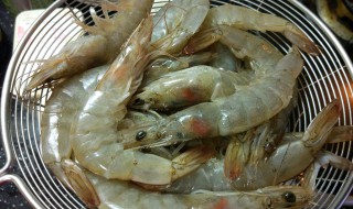 基围虾是海虾吗（盒马的基围虾是海虾吗）