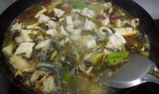 酸菜豆腐鱼的做法（酸菜豆腐鱼的做法 家常）