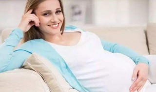 孕妇喝酸奶好还是纯奶好 孕妇喝纯奶和酸奶哪个好
