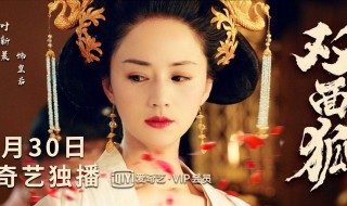 双面狐演员表（双面狐演员表大全）