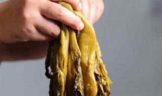 酸腌菜的做法（酸腌菜的做法视频）