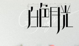 白色月光最后大结局什么意思 白色月光最后结局是什么意思