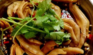 酸辣鸭爪的做法 酸辣鸭爪的做法视频教程