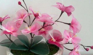 如何制作丝袜花 如何制作丝袜花束