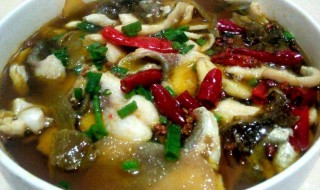 酸菜鱼酸菜鱼的做法（酸菜鱼的做法 做法）