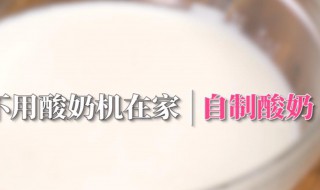 酸奶的做法不用酸奶机（酸奶做法不用酸奶机酸奶菌）