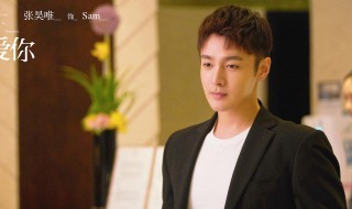 其实他没有那么爱你主演介绍（他其实没有那么的爱你演员表）