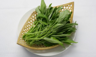 空心菜的做法大全家常炒菜 空心菜的做法大全家常炒菜窍门