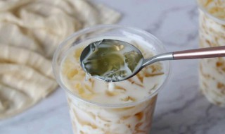 茶冻的做法（茶冻的做法 吉利丁粉）