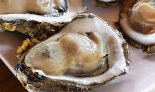 海蛎豆腐汤家常做法 海蛎豆腐汤家常做法丽丽姐