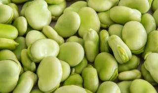 新鲜蚕豆米保鲜方法（蚕豆米的保鲜方法）
