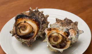 海螺肉怎么吃 海螺肉怎么吃好吃
