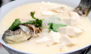 奶白鲫鱼豆腐汤 奶白鲫鱼豆腐汤窍门