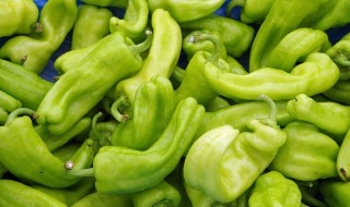 如何制作辣椒咸菜 制作辣椒咸菜的教程
