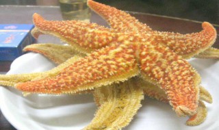 海星的食用方法（海星的食用方法大全）
