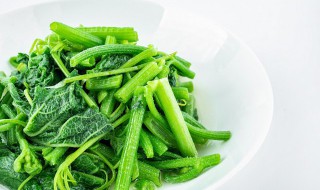 青菜怎么吃（四川大叶青菜怎么吃）