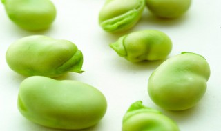 蚕豆保鲜及储存方法 蚕豆保鲜及储存方法视频