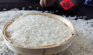 大米的最佳储存方法（大米的最佳储存方法是什么）