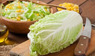 油豆腐炖娃娃菜（油豆腐炖娃娃菜家常做法）