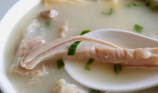 玉米须茅根猪肚汤怎么做 玉米须茅根猪肚汤怎么做的