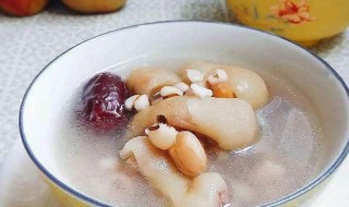 眉豆花生猪手汤（眉豆花生猪手汤的功效）