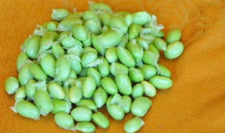 毛豆米的做法大全 毛豆米的做法大全集