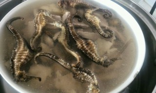 海马如何清洗（海马怎么清洗）